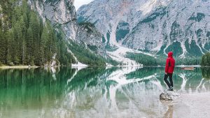 bg 08 free img 300x169.jpg